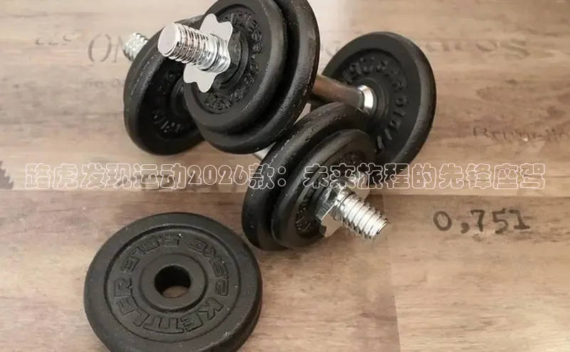飞速直播体育