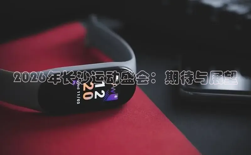 飞速直播体育nba无插件